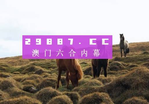 澳门马今晚开奖记录——探索彩票背后的故事与期待