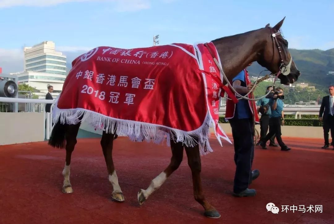 WW777766香港马会总纲诗，探索赛马运动的魅力与诗意