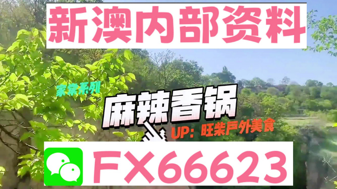 警惕网络陷阱，关于新澳精准资料免费提供背后的风险与应对之道