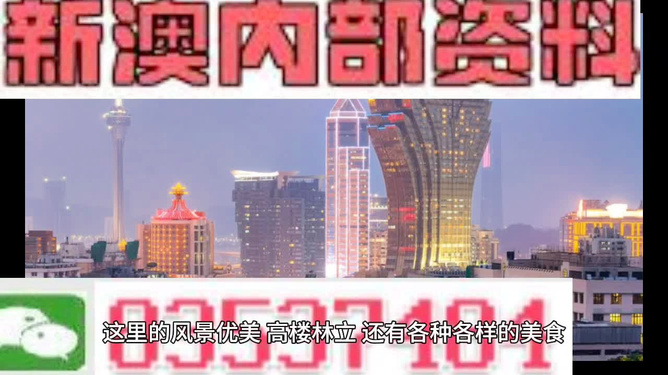 新澳精准免费提供，揭示背后的犯罪问题及其影响