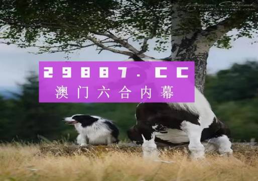 探索新版跑狗游戏，77777与88888的魅力