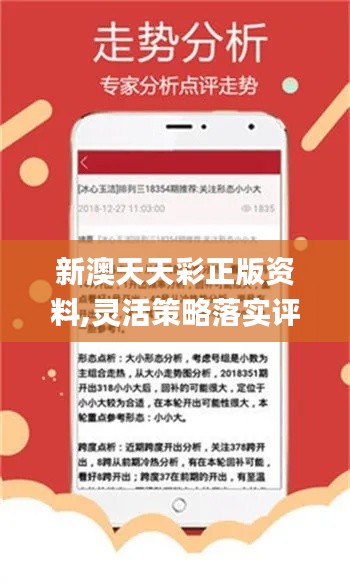 澳彩精准资料免费长期公开，一个关于犯罪与法律的探讨