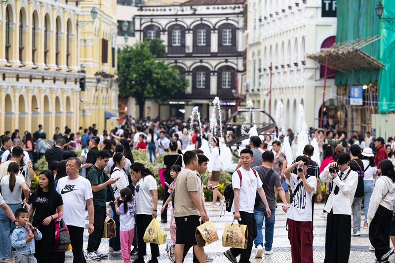 澳门一码一肖一恃一中与犯罪问题探讨——以第354期为例