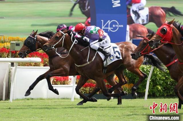 关于香港特马彩票的真相及法律警示