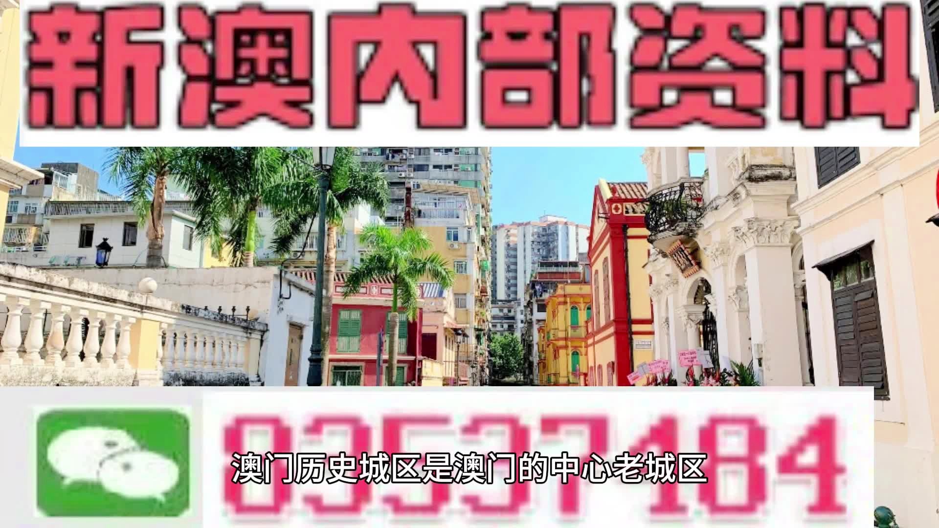 新澳门免费资料大全在线查看——警惕背后的风险与犯罪问题