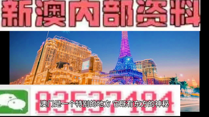 新澳门最精准正最精准龙门——揭示背后的风险与犯罪问题