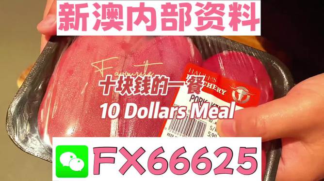 关于新澳正版资料免费大全的探讨与警示——警惕违法犯罪问题的重要性