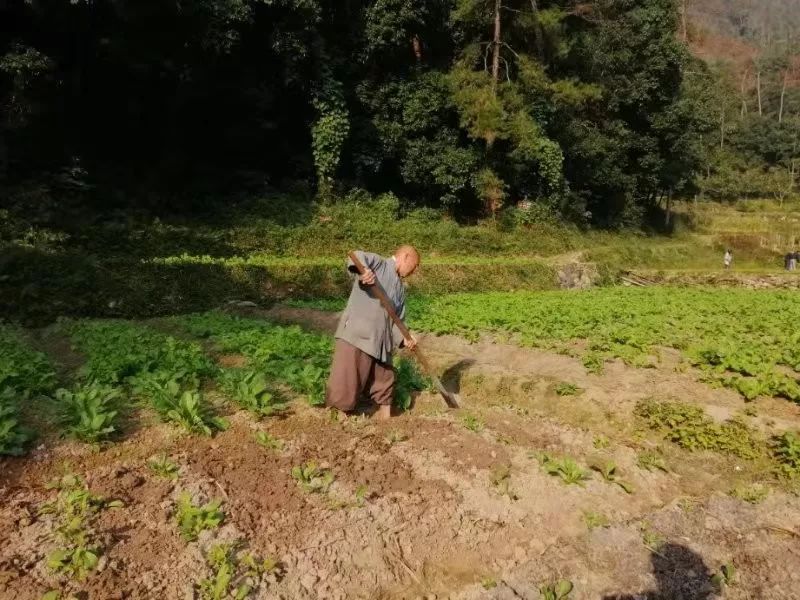 天天干天天日，生活的节奏与自我提升的探索