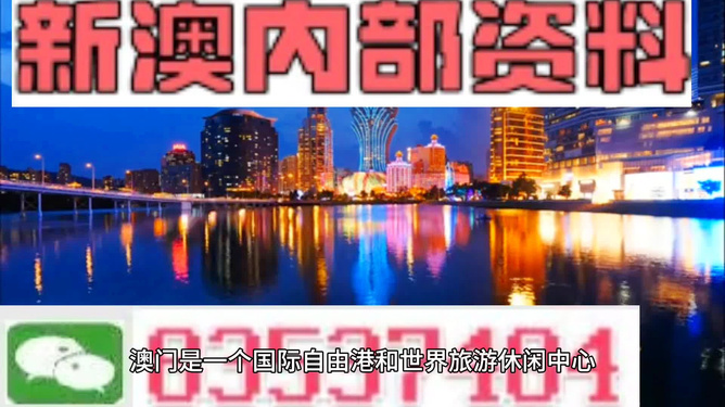 揭秘大赢家背后的秘密，免费公开资料与澳门之探