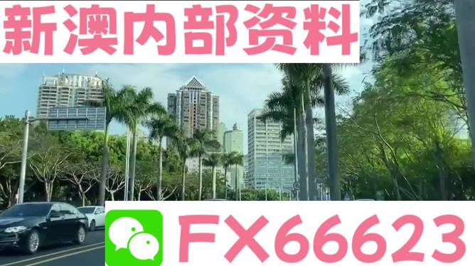 新澳精准资料免费提供，探索第265期的价值与深度