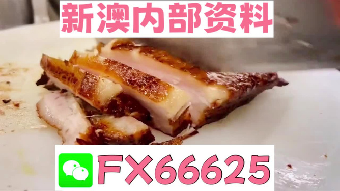 新奥长期免费资料大全，探索与收获