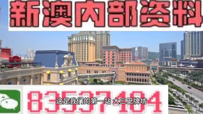 新澳门资料免费长期公开与2024年的未来展望（违法犯罪问题探讨）