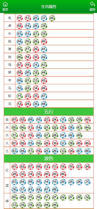 2024年12月19日