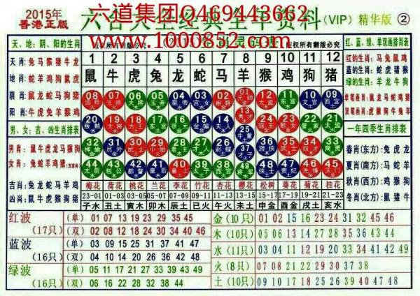 揭秘2024年十二生肖与数字49的奇妙联系——一份详尽的49码表