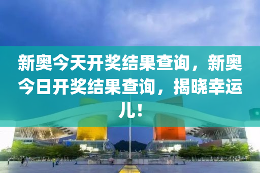 新奥今天开奖结果查询——揭秘彩票背后的故事