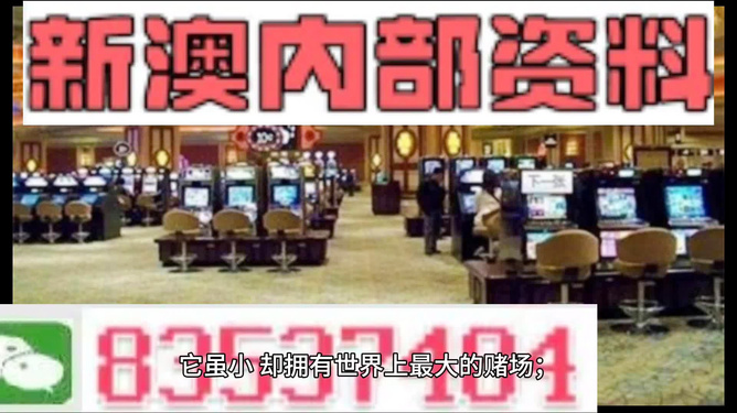 新澳2024正版资料免费公开，探索与揭秘