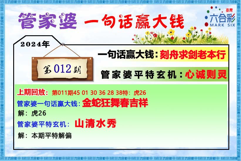 管家婆的资料一肖中特5期172，深度解析与预测