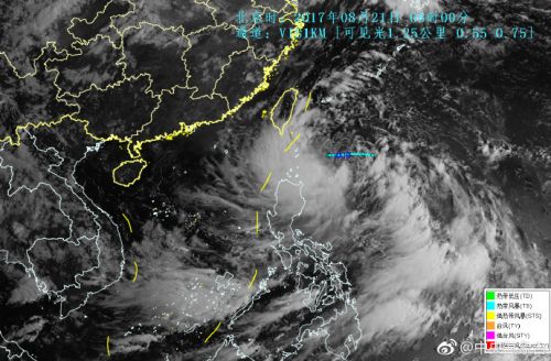 天鸽风台最新消息全面解析