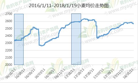 小麦最新行情价格走势分析