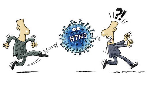 H7N9最新疫情，全球关注与应对策略