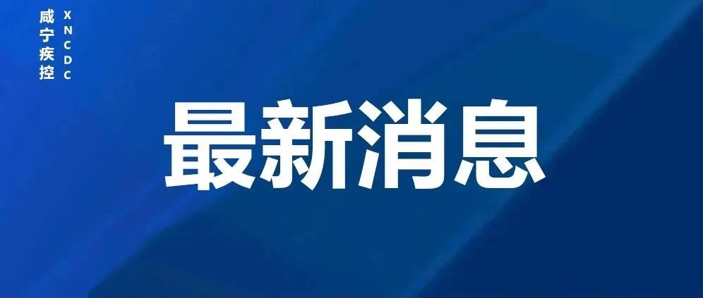 即时新闻最新消息，全球动态与社会焦点