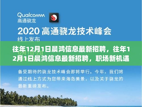 晨鸿信息最新招聘启事——探寻未来精英，共筑数字梦想