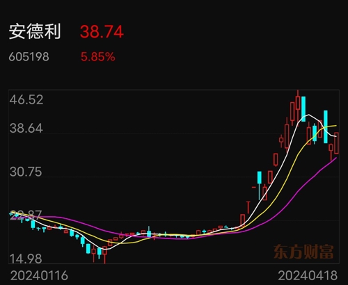 安德利最新消息全面解析