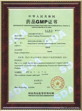 GMP最新版本，引领制药行业进入新时代